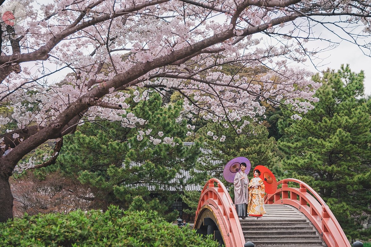 達矢-encuore photoのポートフォリオ6