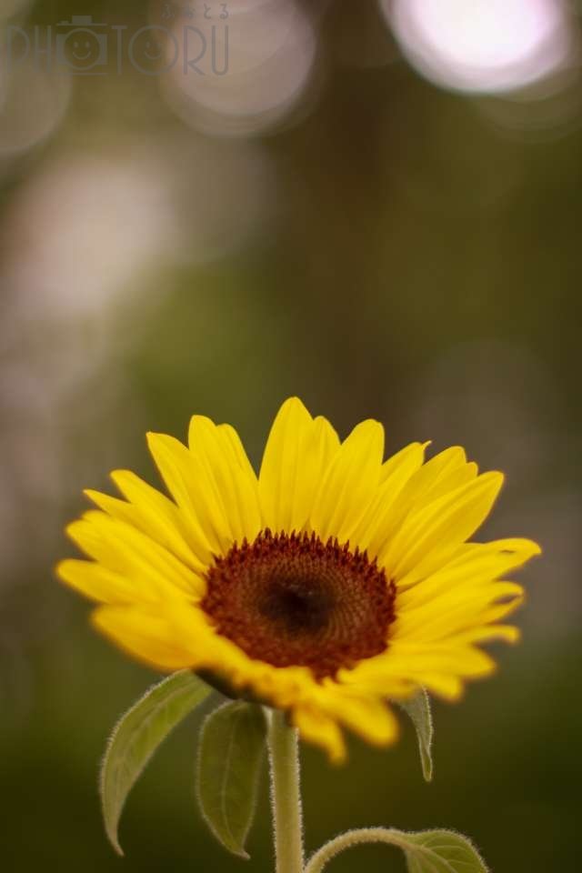 Oukaのポートフォリオ2