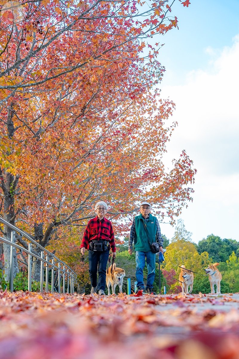 JUNPEI HASHIDAのポートフォリオ0