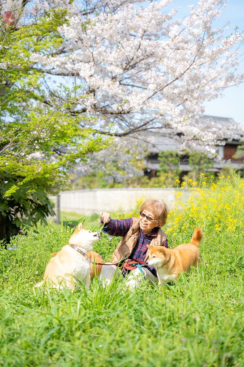 JUNPEI HASHIDAのポートフォリオ2