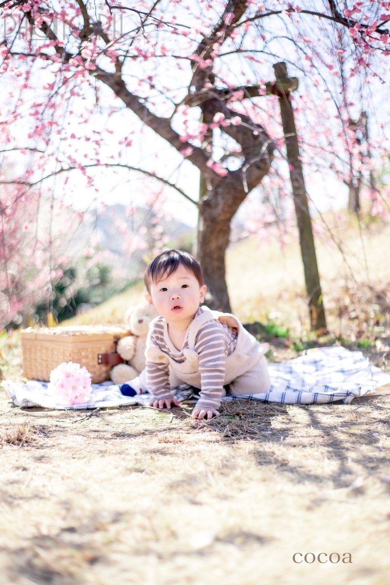 kaori_anjelphotoのポートフォリオ1