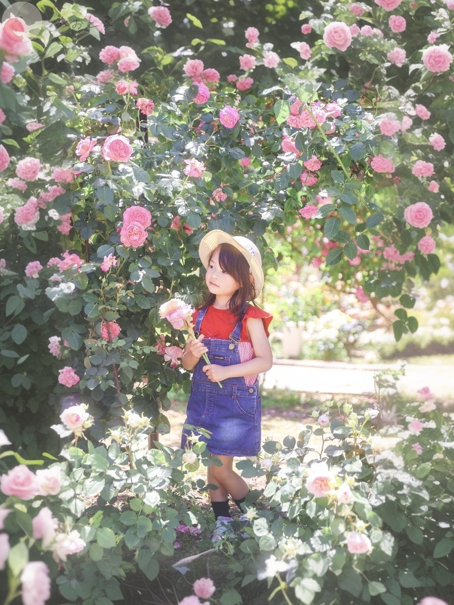 kaori_anjelphotoのポートフォリオ3