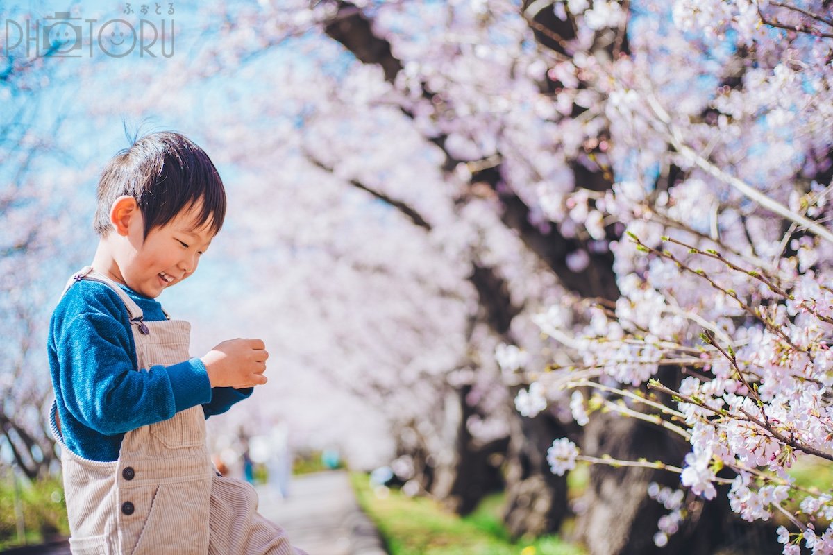せの　なつみのポートフォリオ0