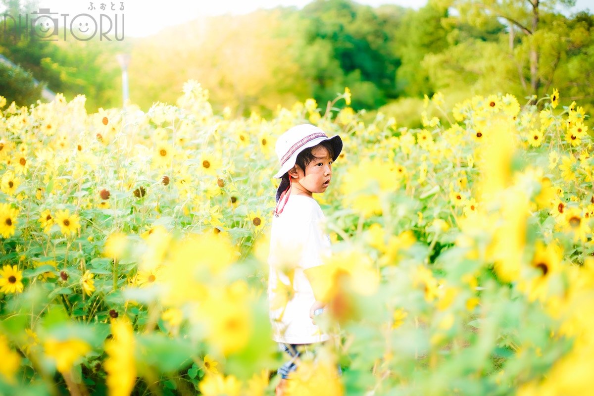 せの　なつみのポートフォリオ2