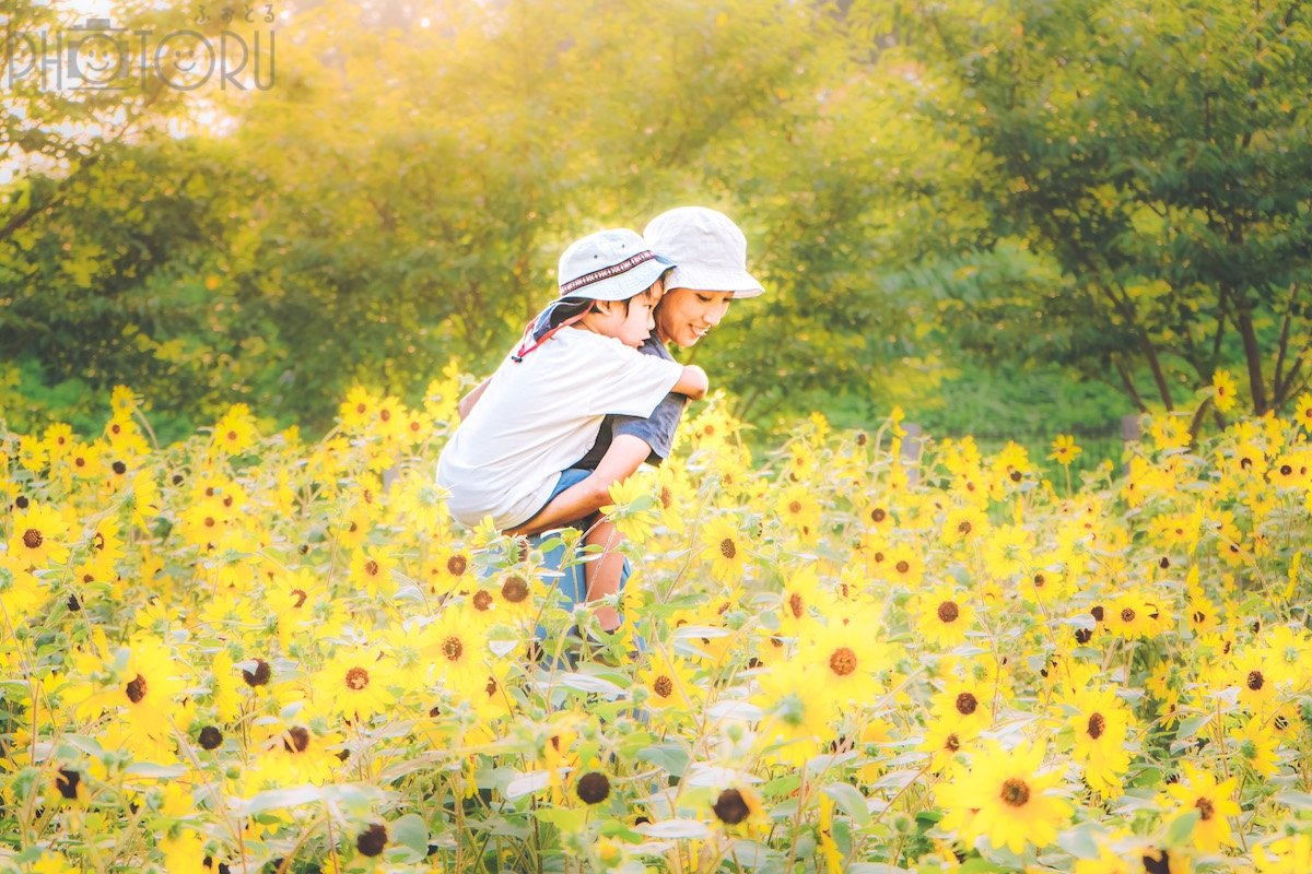 せの　なつみのポートフォリオ8