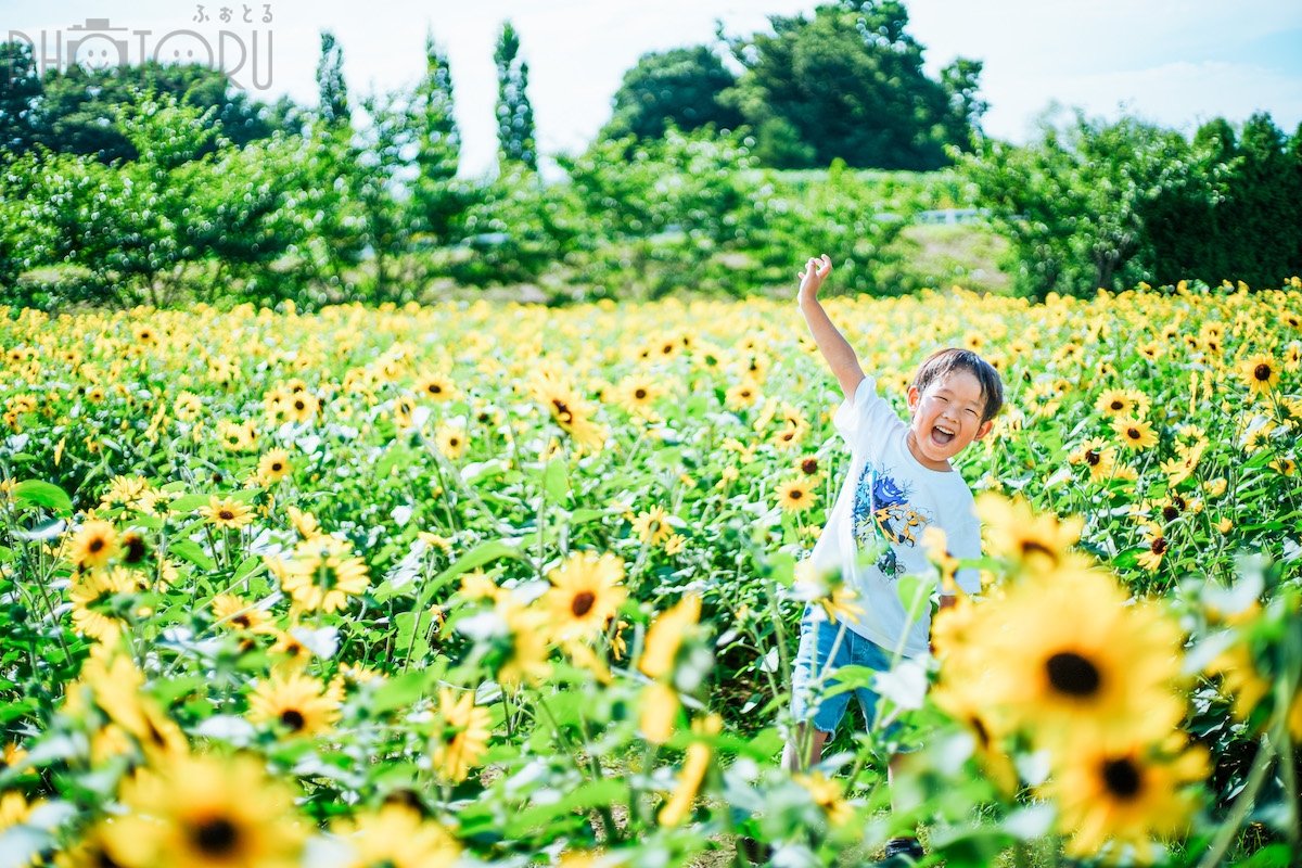 せの　なつみのポートフォリオ0