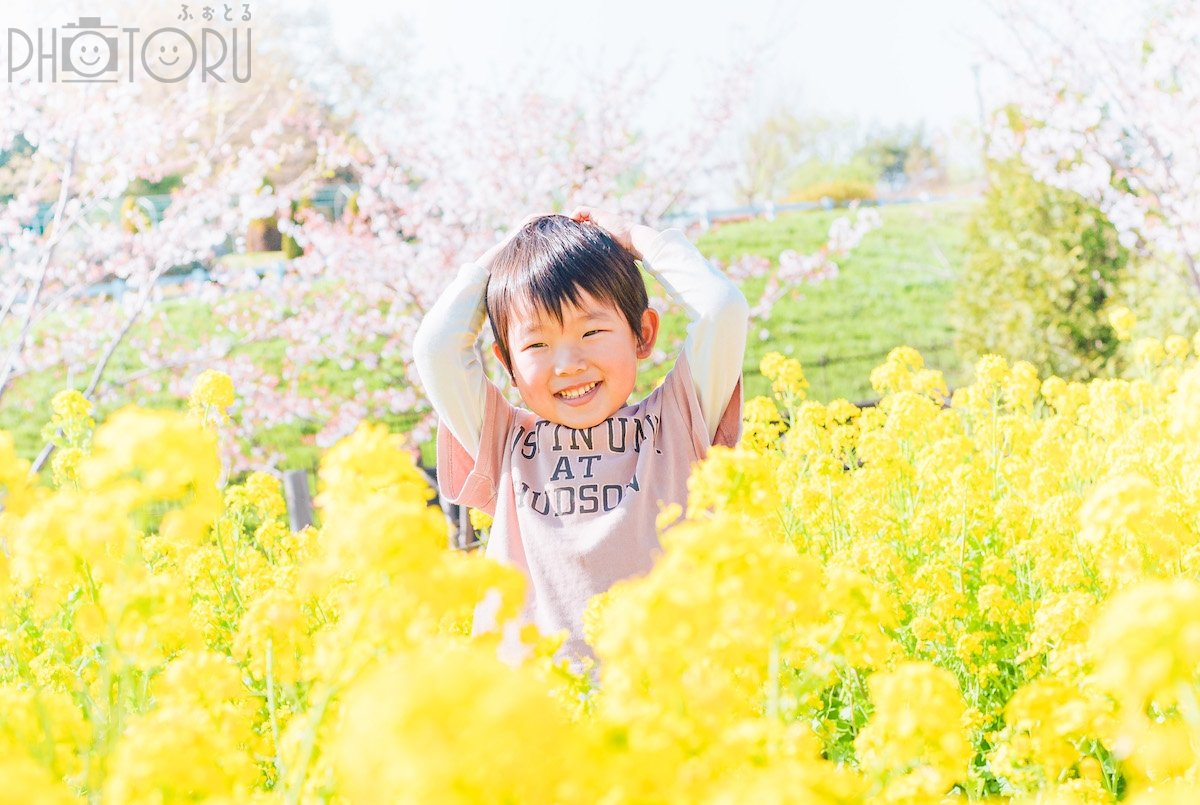 せの　なつみのポートフォリオ6