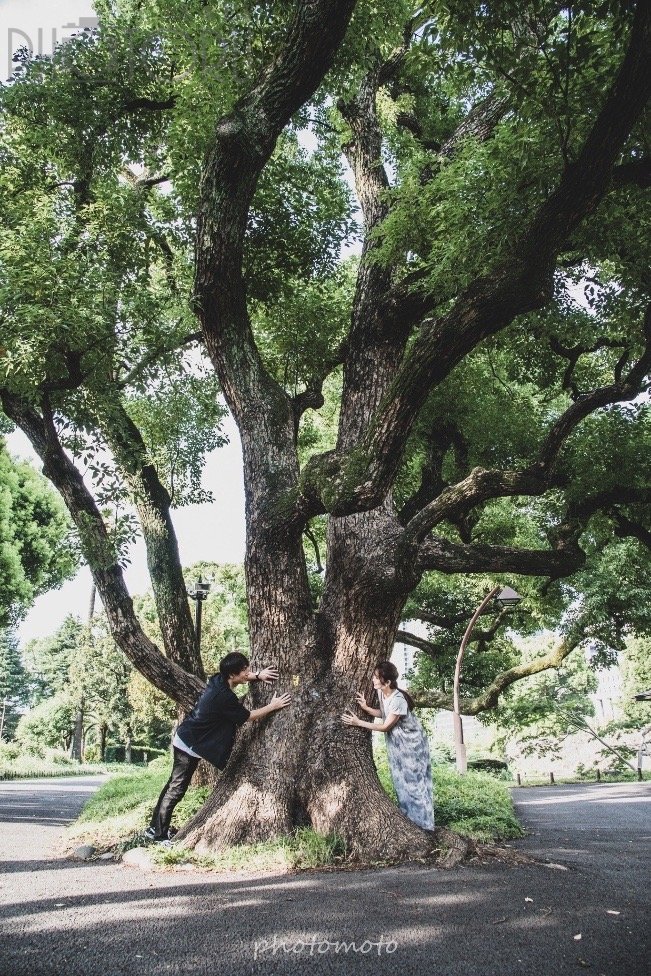 カナティのポートフォリオ3