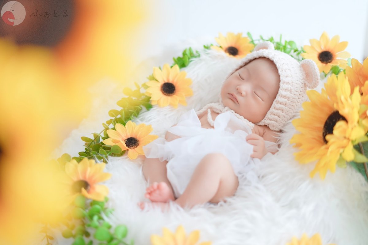 emiのポートフォリオ9