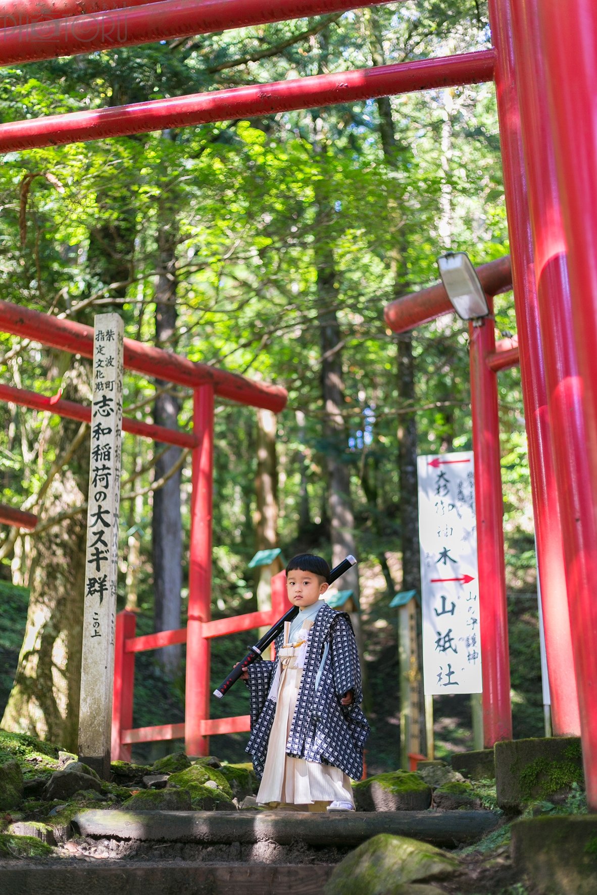 下川のポートフォリオ8