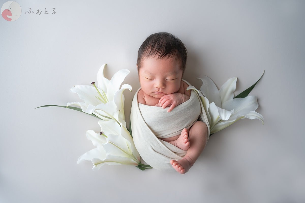 plumebaby,YURIKAのポートフォリオ4