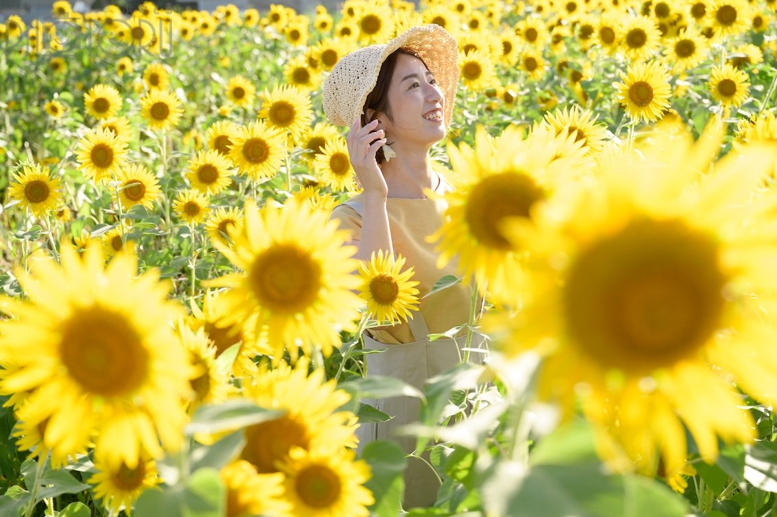 にじいろ出張写心感のポートフォリオ7