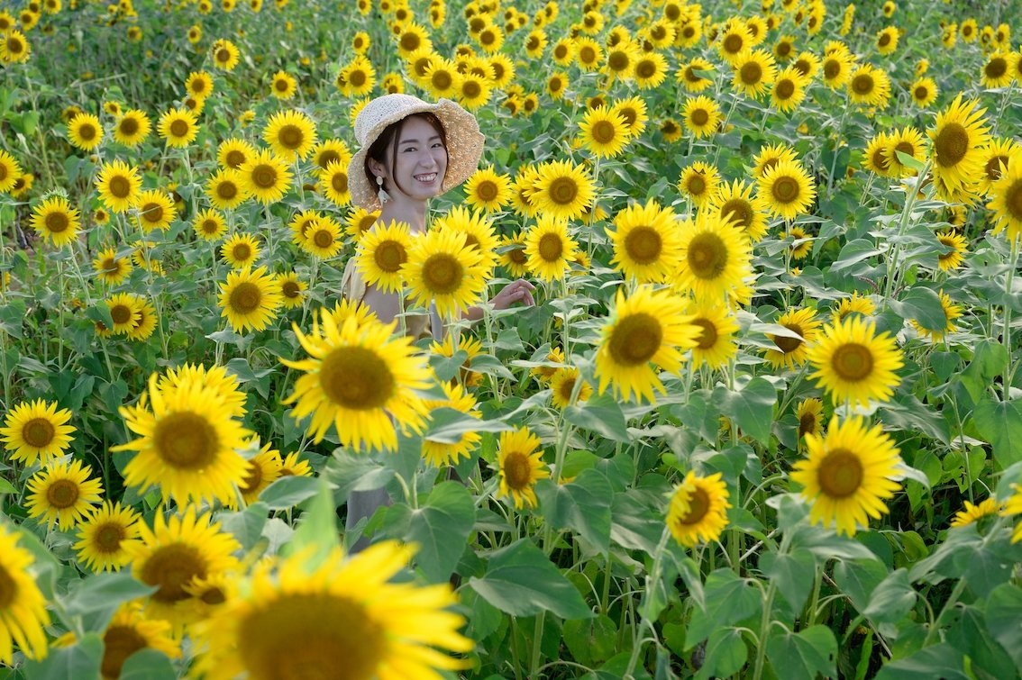 成瀬出張写心感のポートフォリオ8