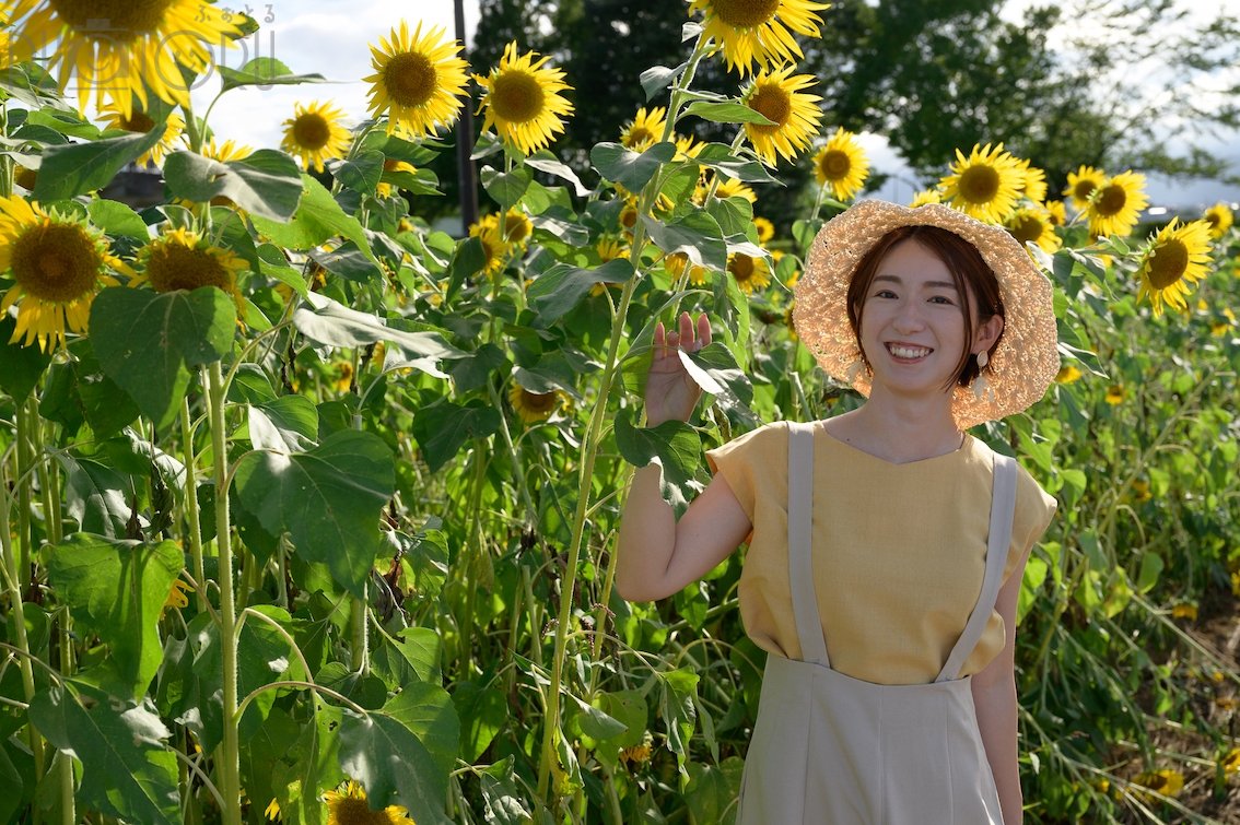 成瀬出張写心感のポートフォリオ0