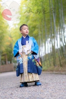 コシヒカリ?のポートフォリオ1