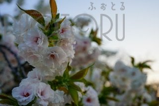 レフ 小夏のポートフォリオ3