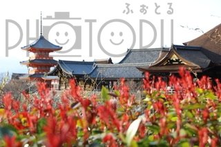 レフ 小夏のポートフォリオ1