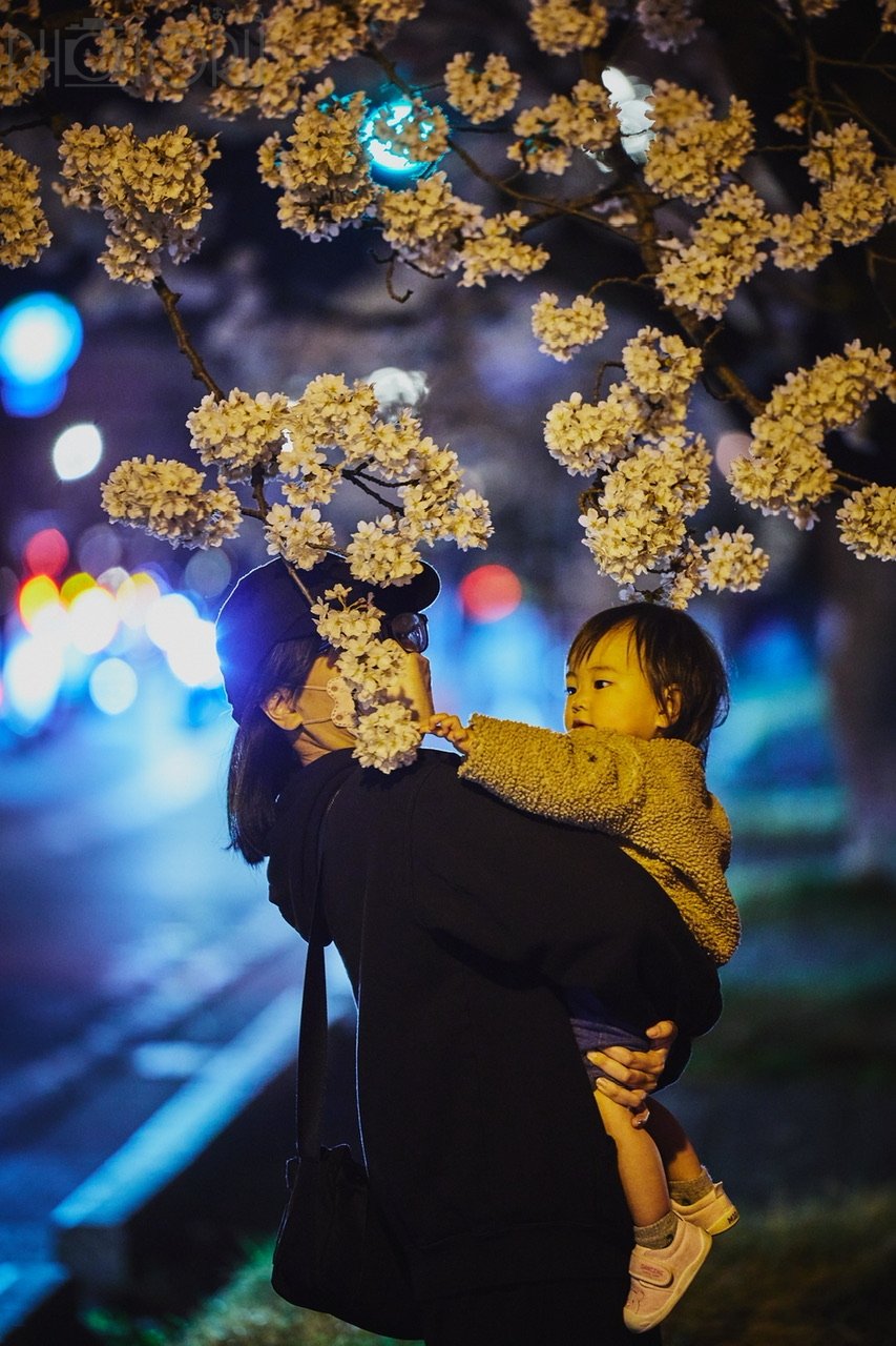 山本俊博のポートフォリオ2