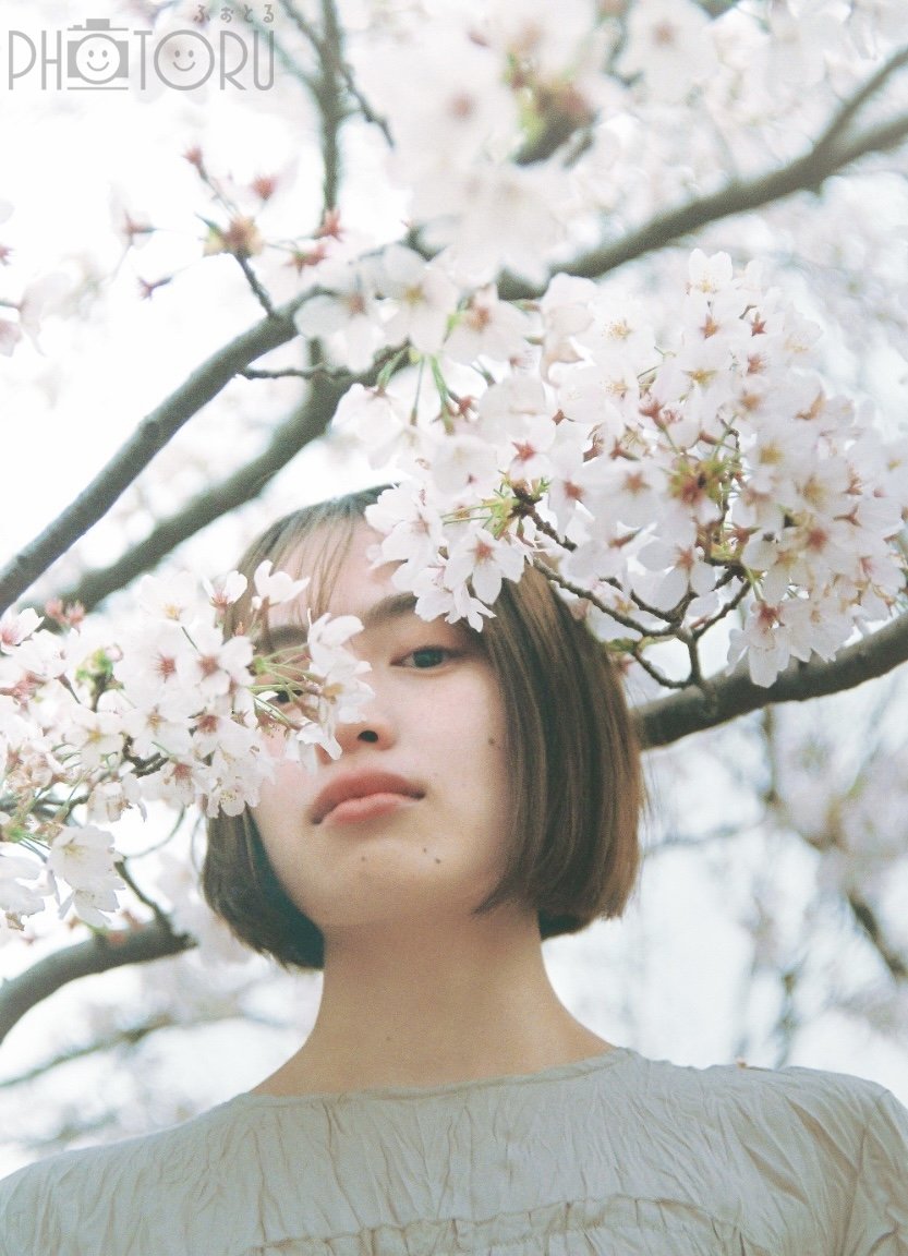 吉平仁のポートフォリオ3