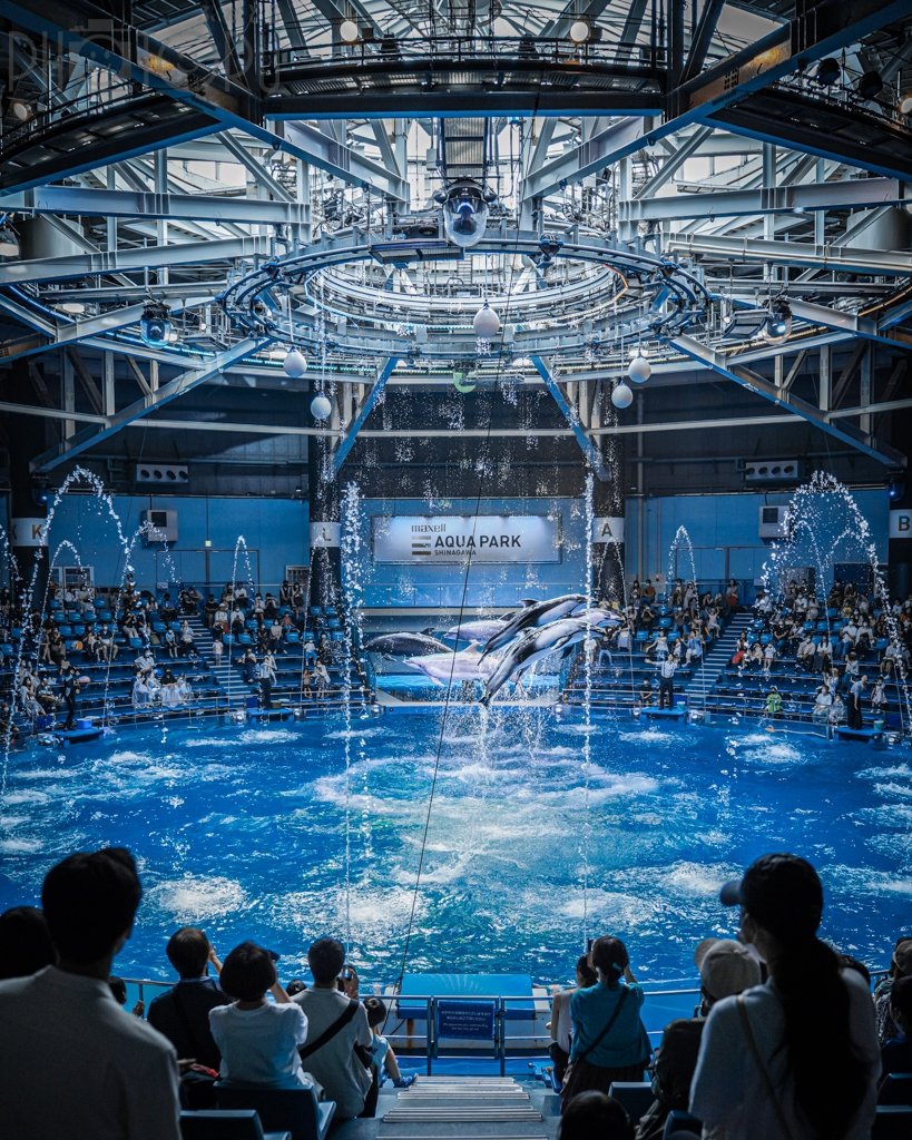 ktr_t0205のポートフォリオ5