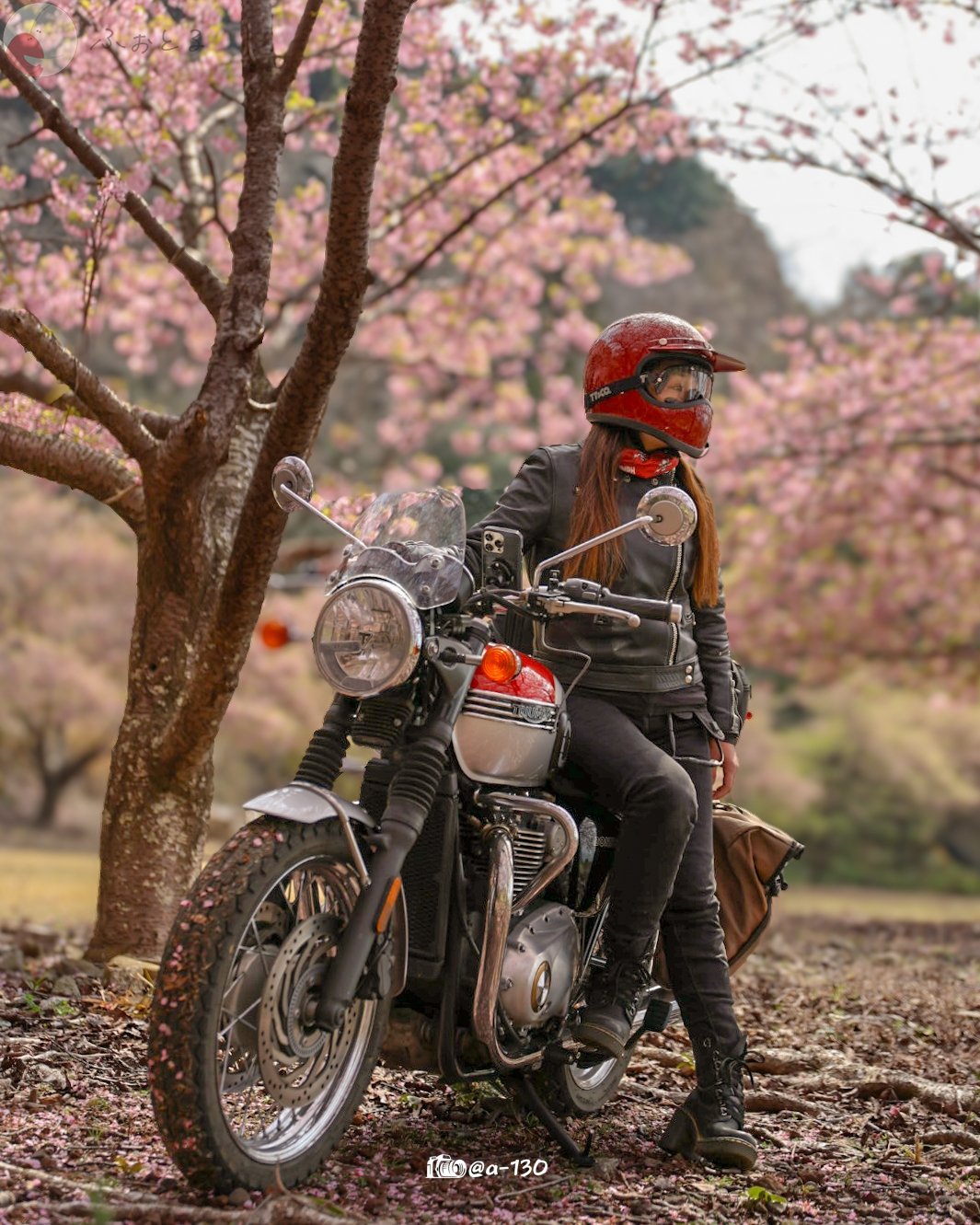 isaoのポートフォリオ1