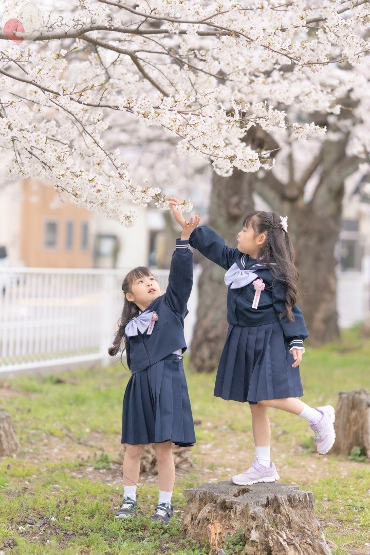 Yu-hoのポートフォリオ1