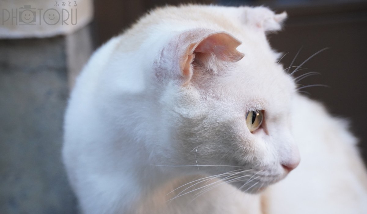 Yu-hoのポートフォリオ2