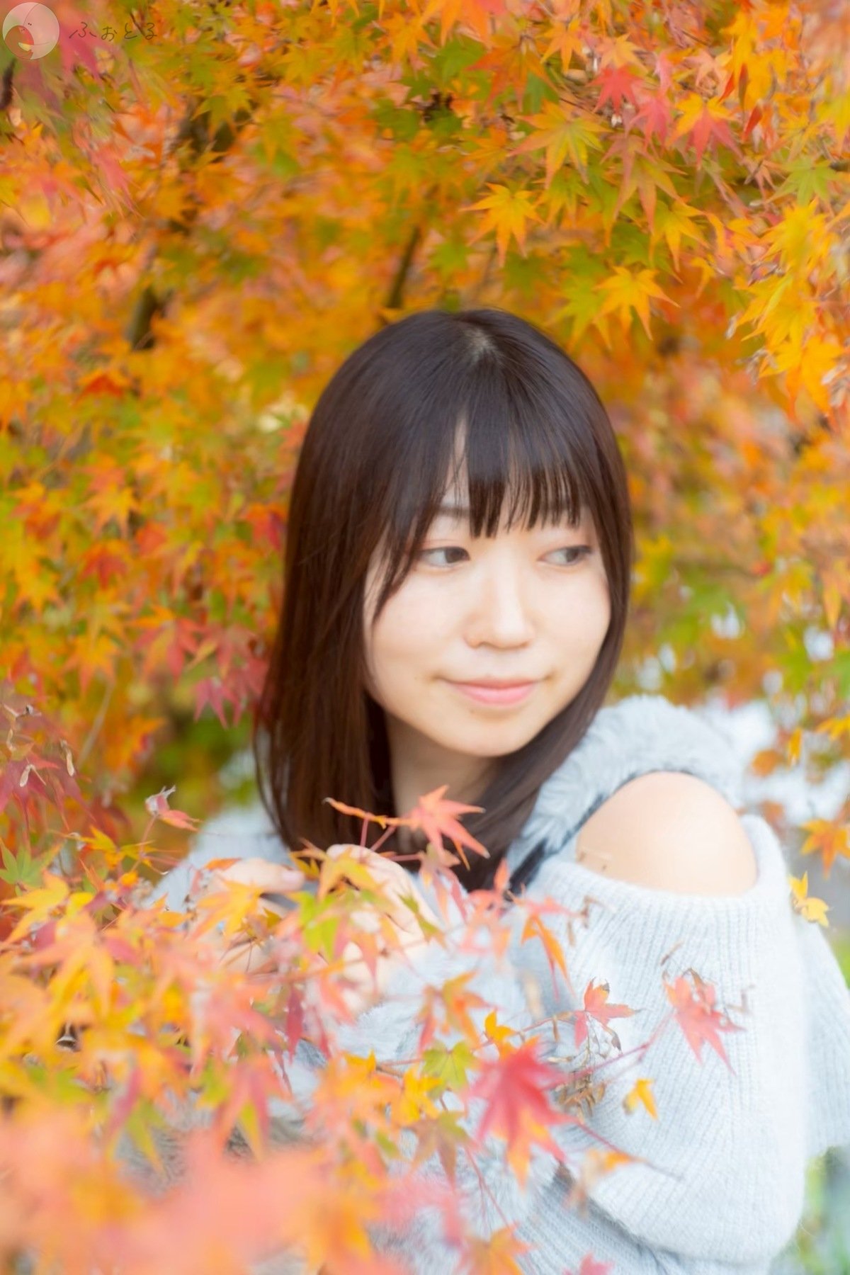 Yu-hoのポートフォリオ7