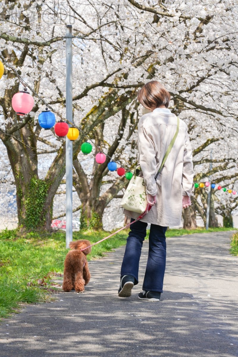 Yu-hoのポートフォリオ0