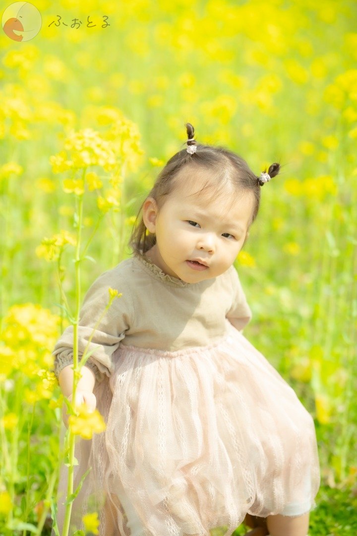 Yu-hoのポートフォリオ2