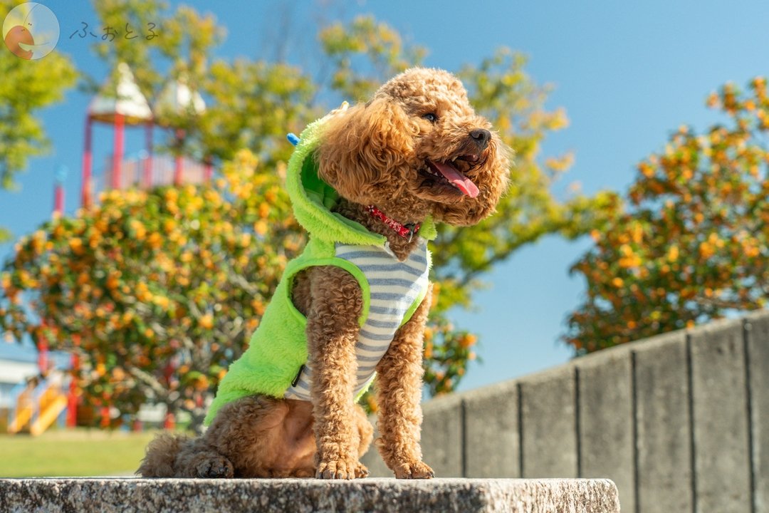 Yu-hoのポートフォリオ5