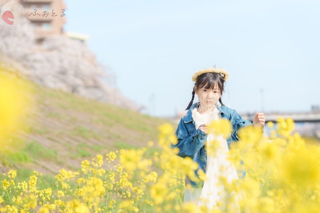 Yu-hoのポートフォリオ7