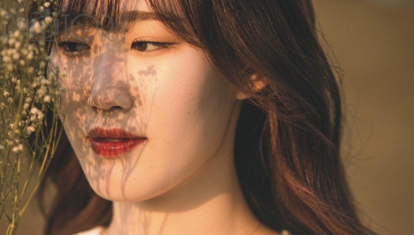 言　のポートフォリオ1