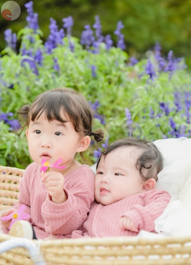 レイのポートフォリオ3