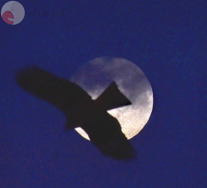 三浦のポートフォリオ7