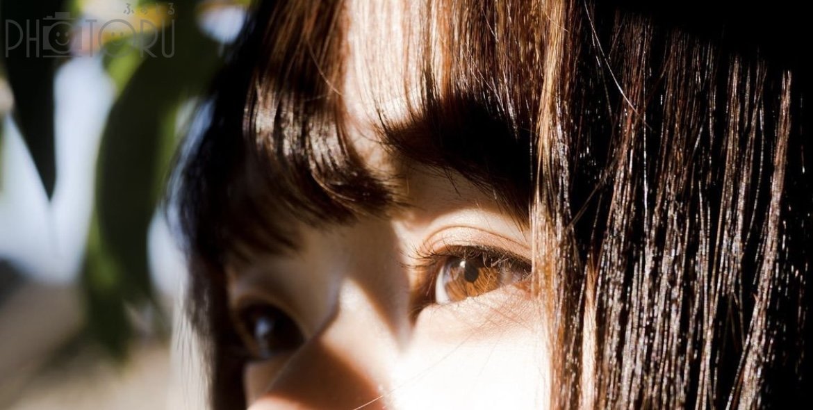 ERIのポートフォリオ2