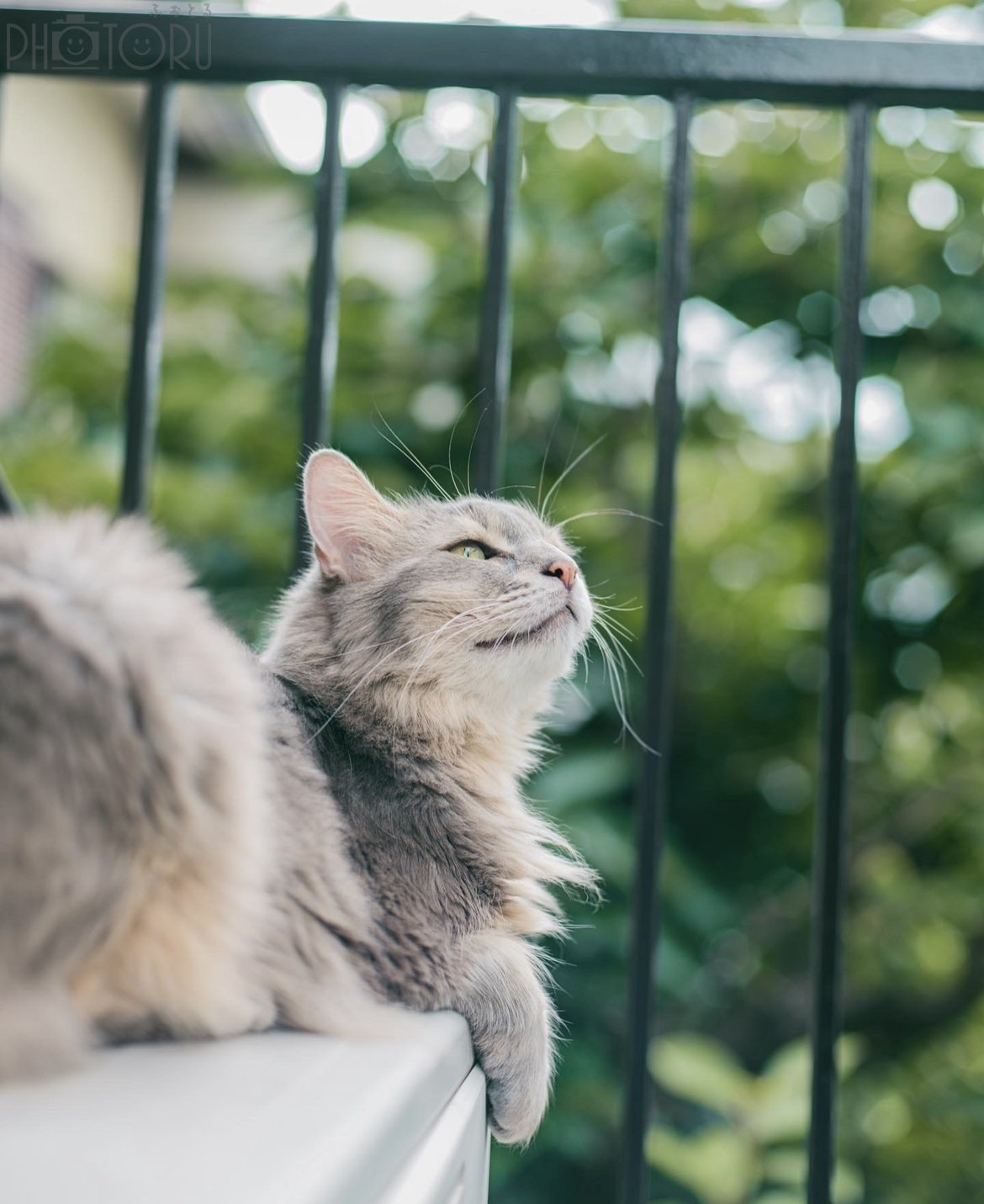 ERIのポートフォリオ5