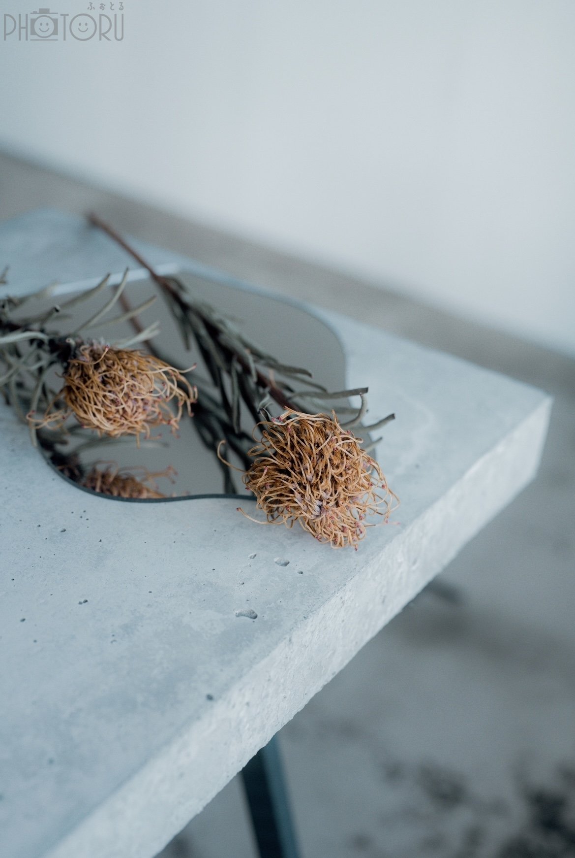 ERIのポートフォリオ3