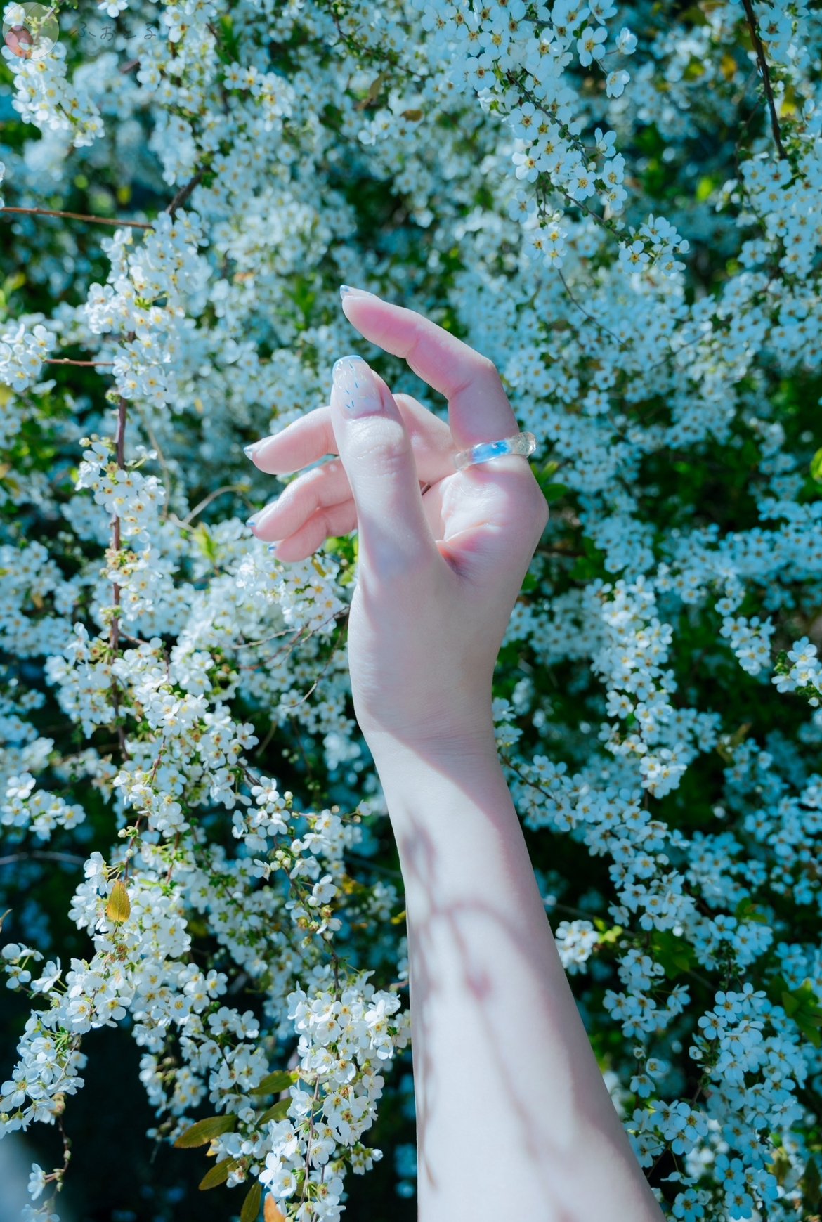 ERIのポートフォリオ8