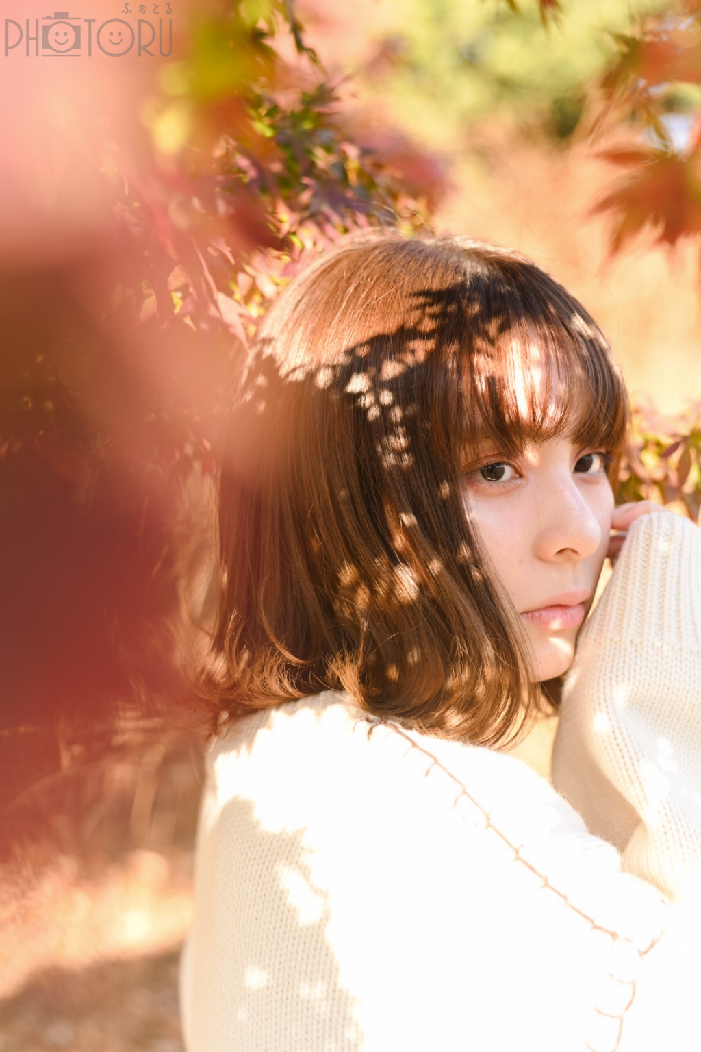 ERIのポートフォリオ4