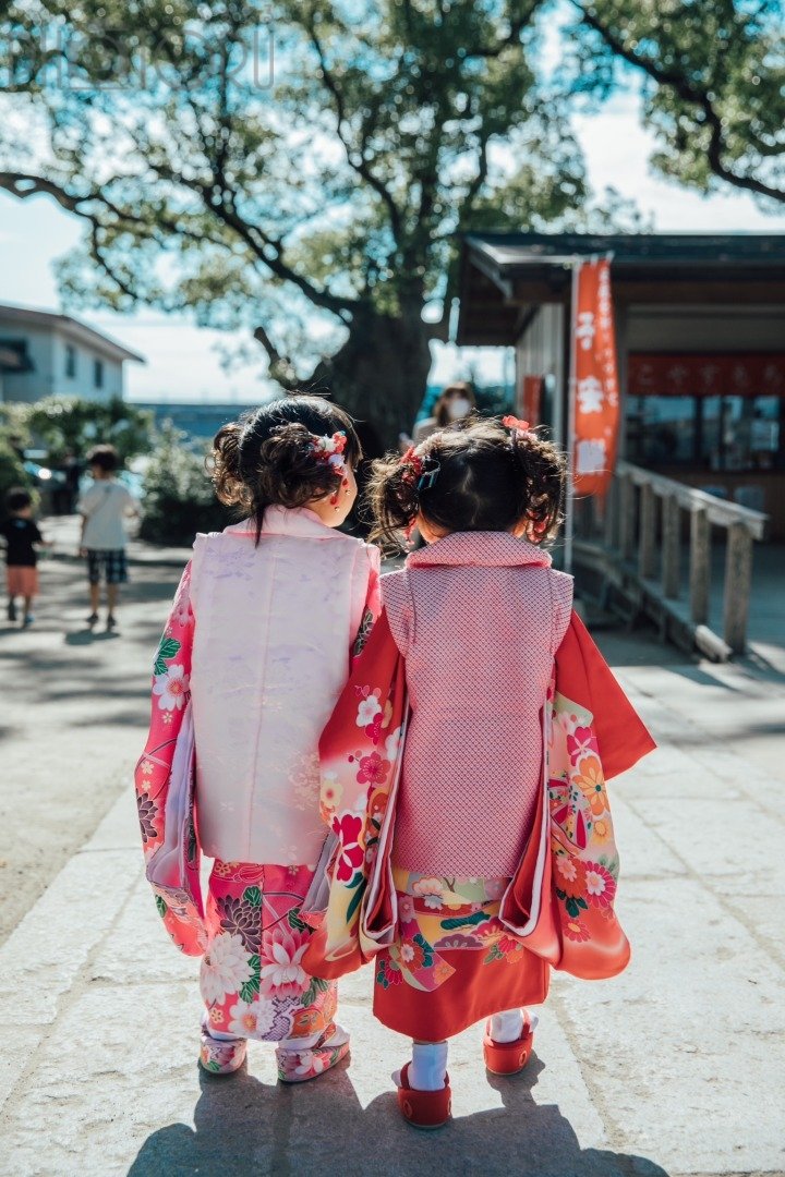 シナのポートフォリオ2