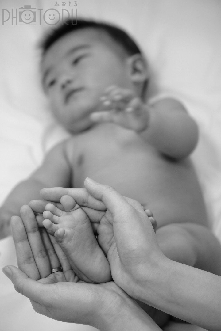 シナのポートフォリオ1