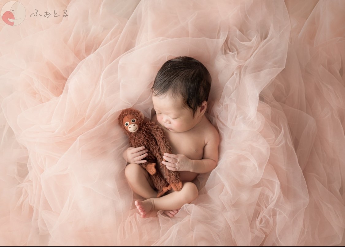 lien photoのポートフォリオ2