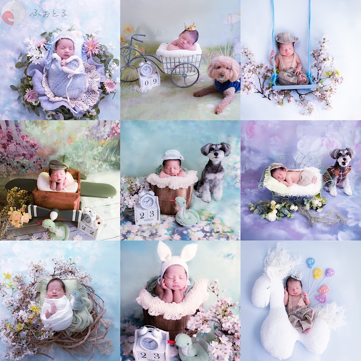 newborn photo 月夢のポートフォリオ5