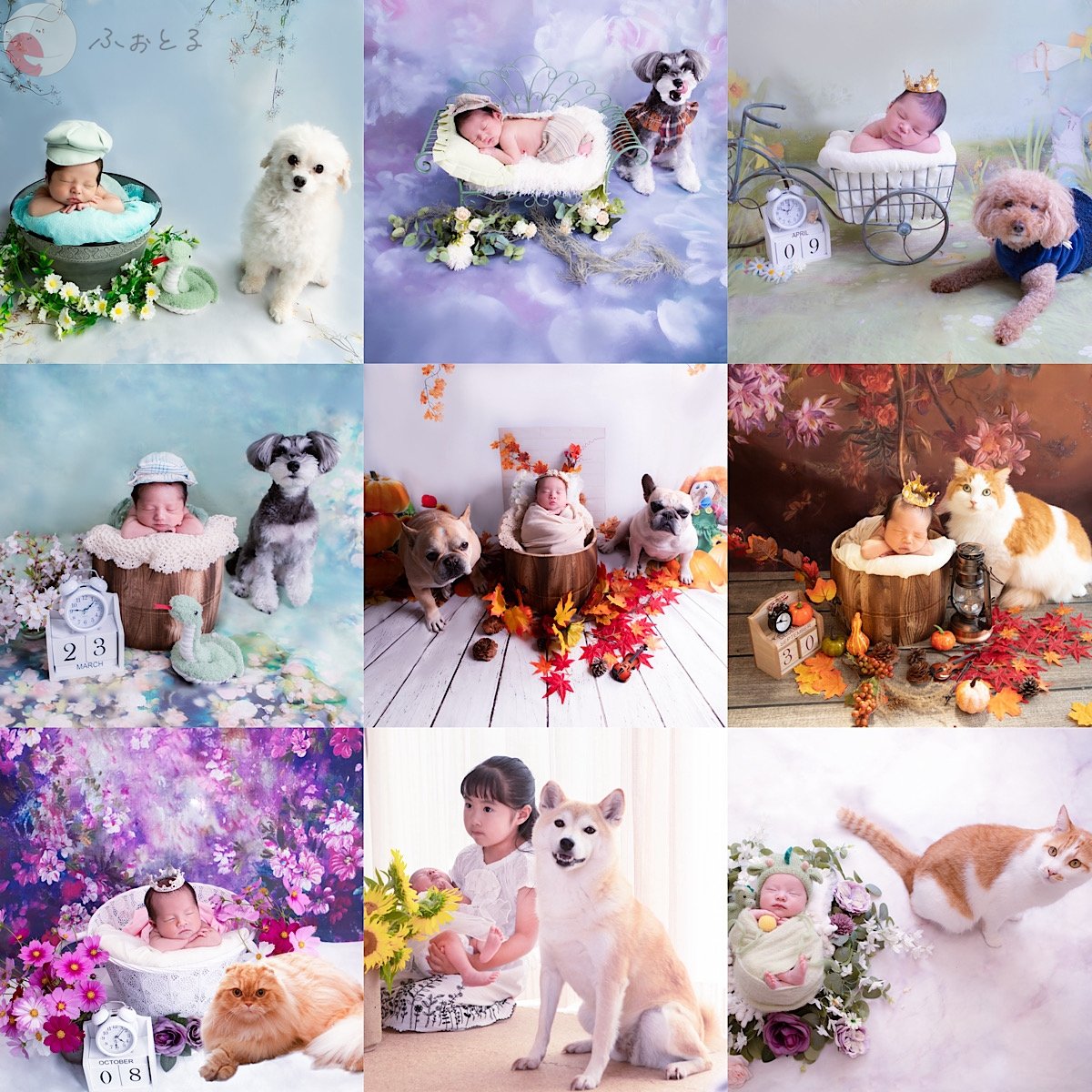 newborn photo 月夢のポートフォリオ6