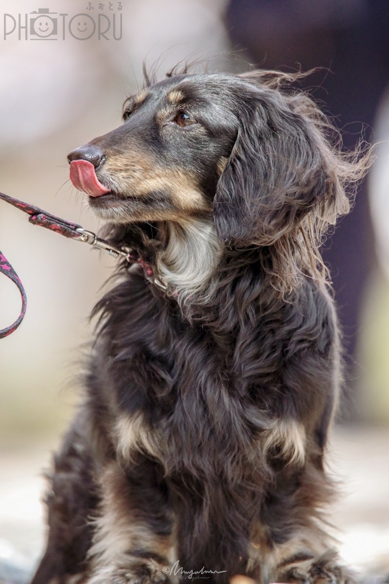 スタジオみにょのポートフォリオ3