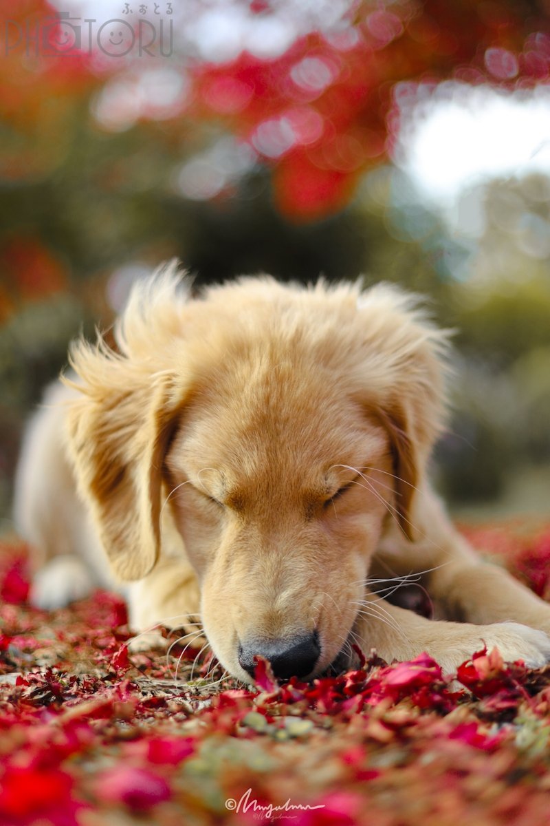 スタジオみにょのポートフォリオ4