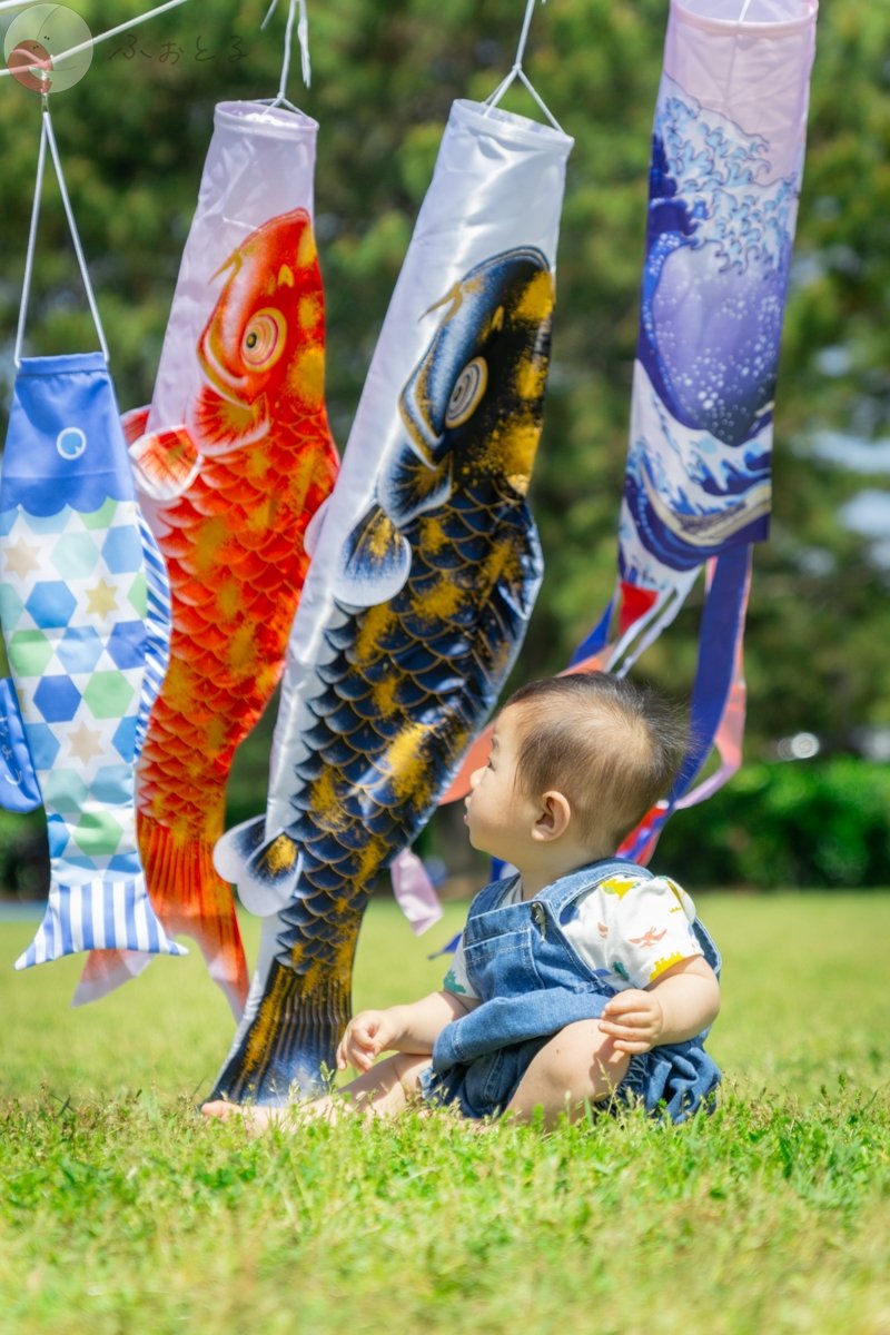 大坪亮太（ツボ）のポートフォリオ0