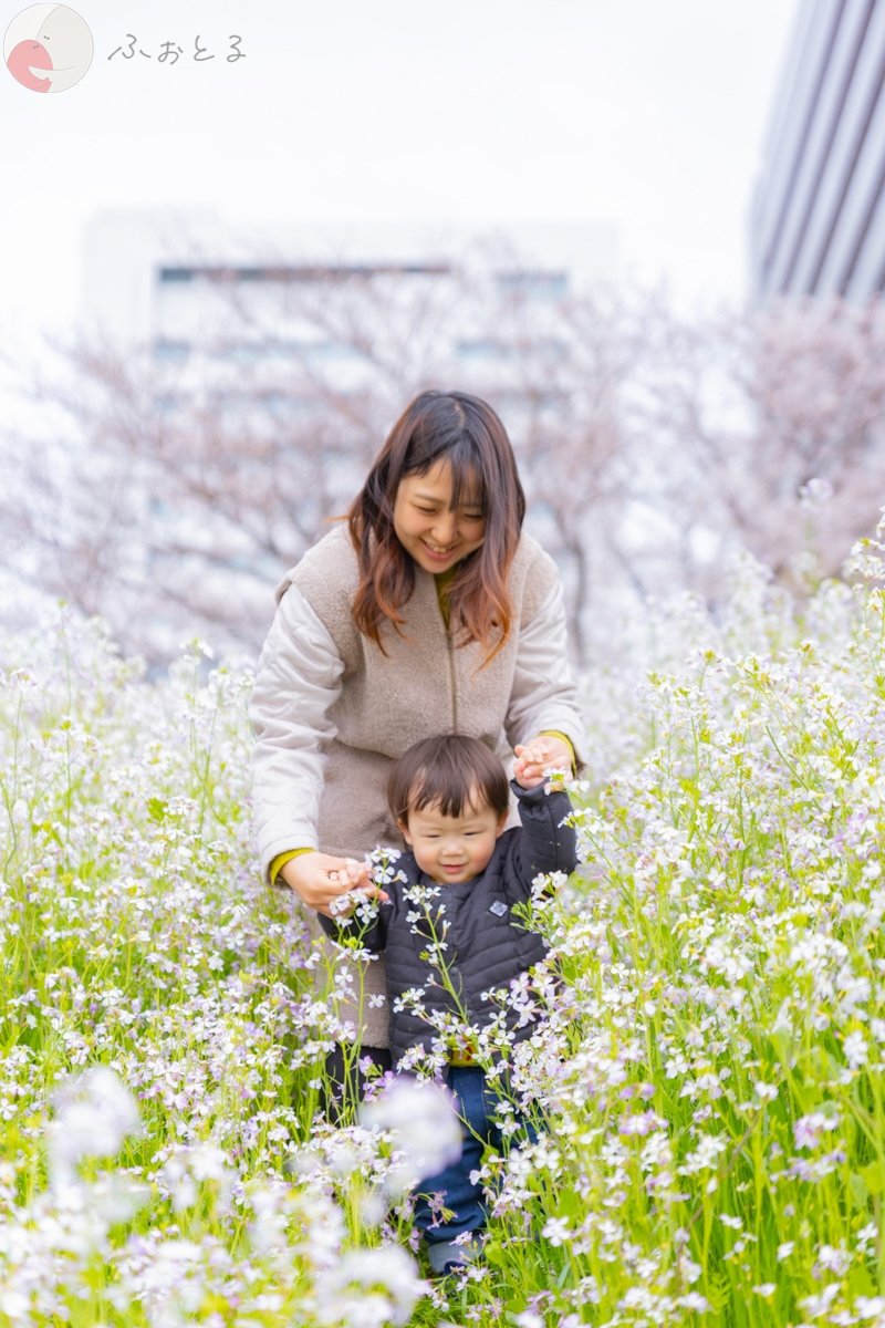 大坪亮太（ツボ）のポートフォリオ2