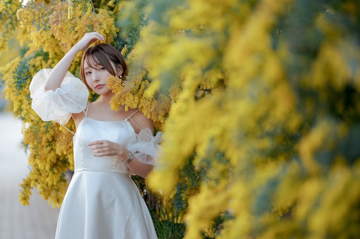 としのポートフォリオ3